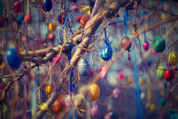 Tree branches with eggs and ribbons for Easter