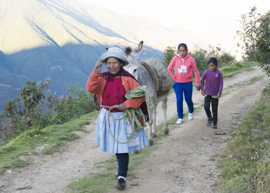 Woman and two children walking a donkey on a mountain trail.