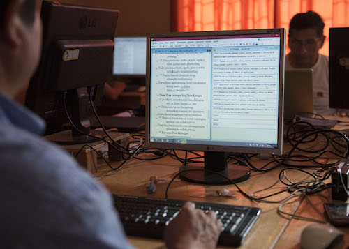 A translator uses specialized translation software.