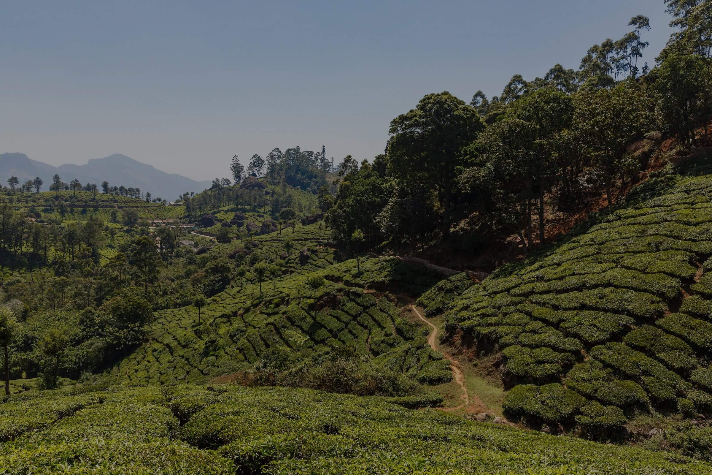 Sandra Rodas Eurasia Candidates and Recruitment Missionary Support