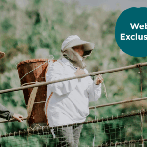 Provide Scripture for Younger Generations in Asia