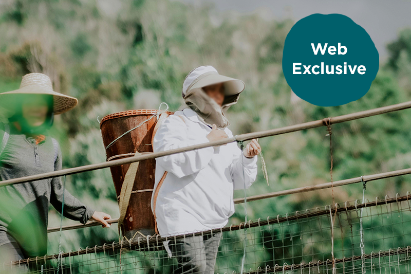 Provide Scripture for Younger Generations in Asia