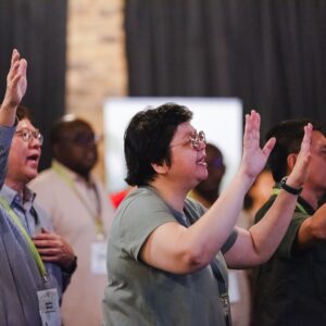 New Testaments for 30 Languages