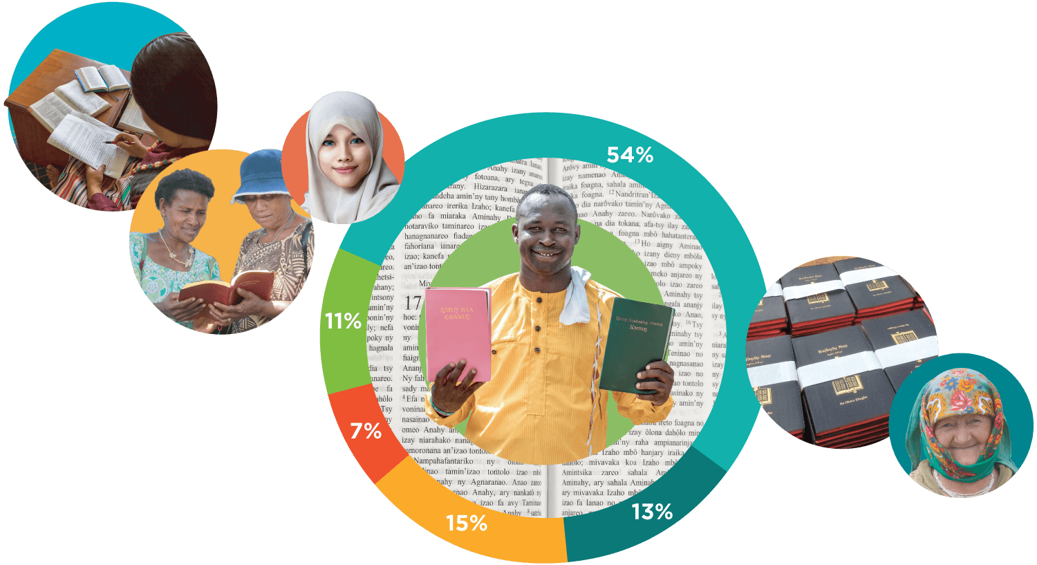 Global translation progress